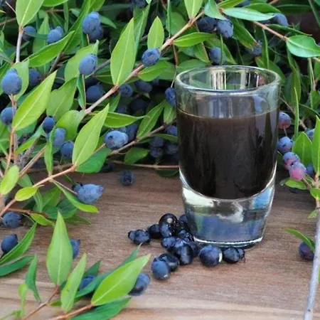 Solemare - Camera Mirto Maison d'hôtes Olbia